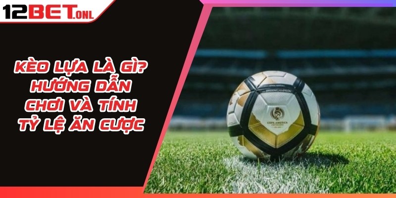 Kèo Lựa Là Gì? Hướng Dẫn Chơi Và Tính Tỷ Lệ Ăn Cược 15 Kèo Lựa Là Gì